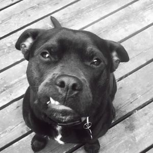 Meet your Posher, Rod